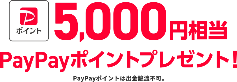 5,000円相当PayPayポイントプレゼント！