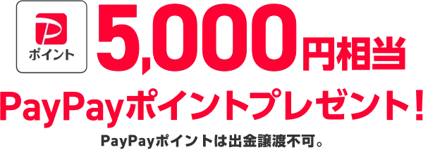 5,000円相当PayPayポイントプレゼント！