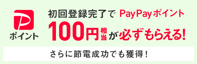 初回登録完了でPayPayポイント100円相当が必ずもらえる！