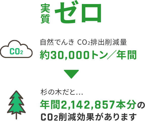 CO2排出量 実質ゼロ 自然でんきCO2排出削減量 約30,000トン／年間 杉の木だと... 年間2,142,857本分のCO2削減効果があります