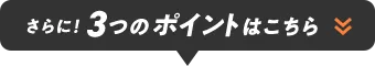 さらに!3つのポイントはこちら