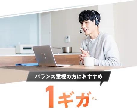バランス重視の方におすすめ 1ギガ
