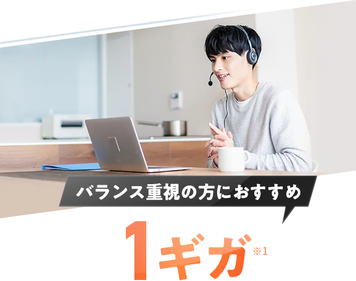 バランス重視の方におすすめ 1ギガ
