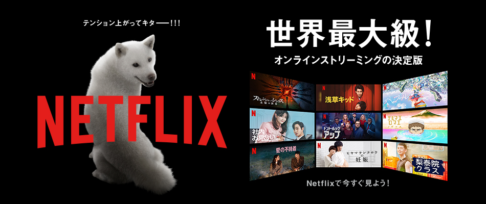 テンション上がってキター！！！ NETFLIX 世界最大級！オンラインストリーミングの決定版 Netflixで今すぐ見よう！