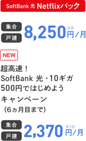 SoftBank 光 Netflixパック 集合 戸建 8,250円／月