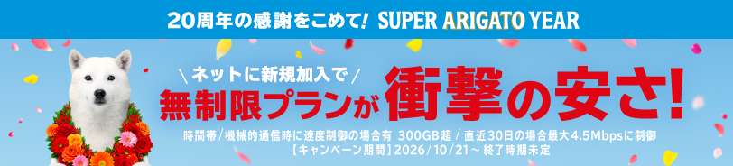 ネットに新規加入で無制限プランが衝撃の安さ！