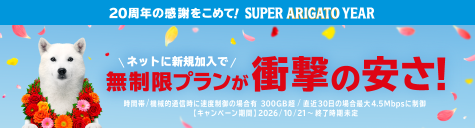 ネットに新規加入で無制限プランが衝撃の安さ！