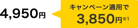 キャンペーン適用で3,850円 ※1