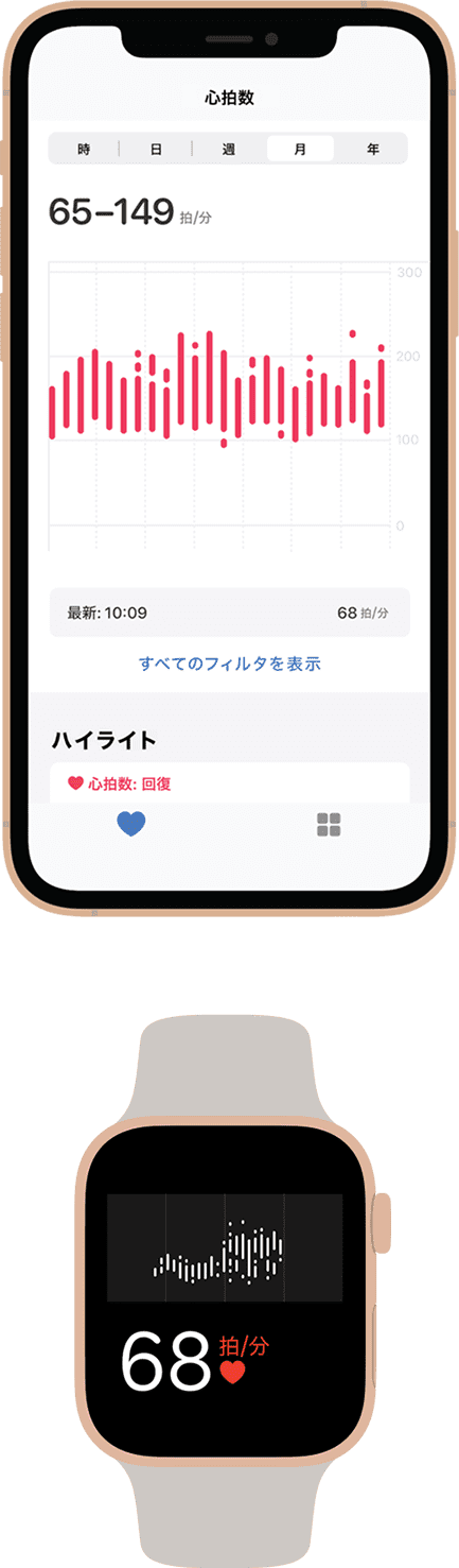 リンゴの心臓の研究
