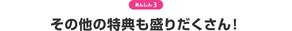 あんしん3 その他の特典も盛りだくさん!