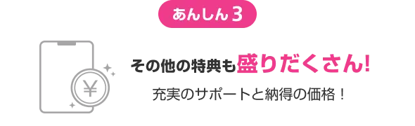 あんしん3 その他の特典も盛りだくさん! 充実のサポートと納得の価格