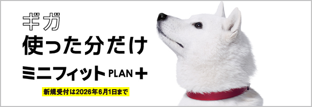 ギガ使った分だけミニフィットPLAN+ 新規受付は2026年6月1日まで