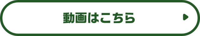 動画はこちら