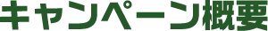 キャンペーン概要