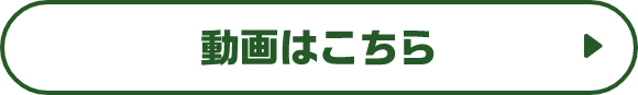 動画はこちら
