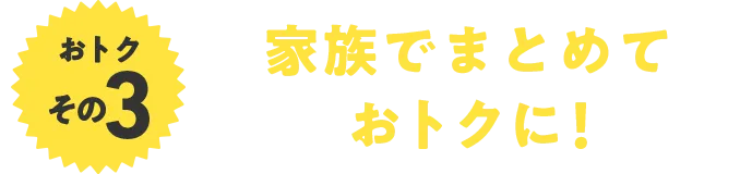おトクその3 家族でまとめておトクに！