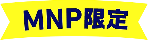 MNP限定
