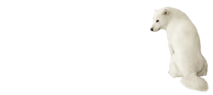 料金だけじゃない、どんなときでもつながる安心を
