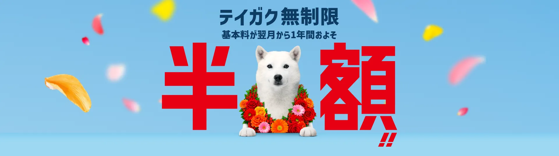 スマホとネットにご加入いただくとテイガク無制限 基本料がおよそ半額!!