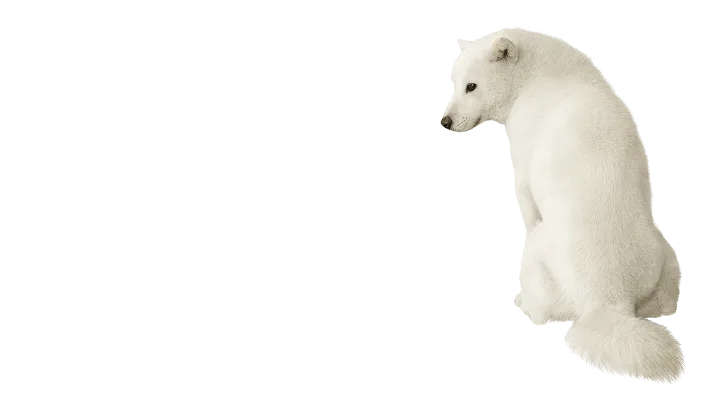 料金だけじゃない、どんなときでもつながる安心を