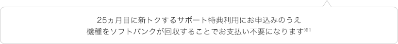 25ヵ月目に新トクするサポート特典利用にお申し込みのうえ機種をソフトバンクが回収することでお支払いが不要となります。※1