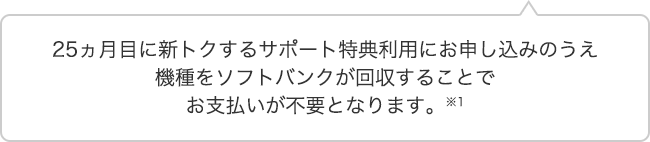 25ヵ月目に新トクするサポート特典利用にお申し込みのうえ機種をソフトバンクが回収することでお支払いが不要となります。※1