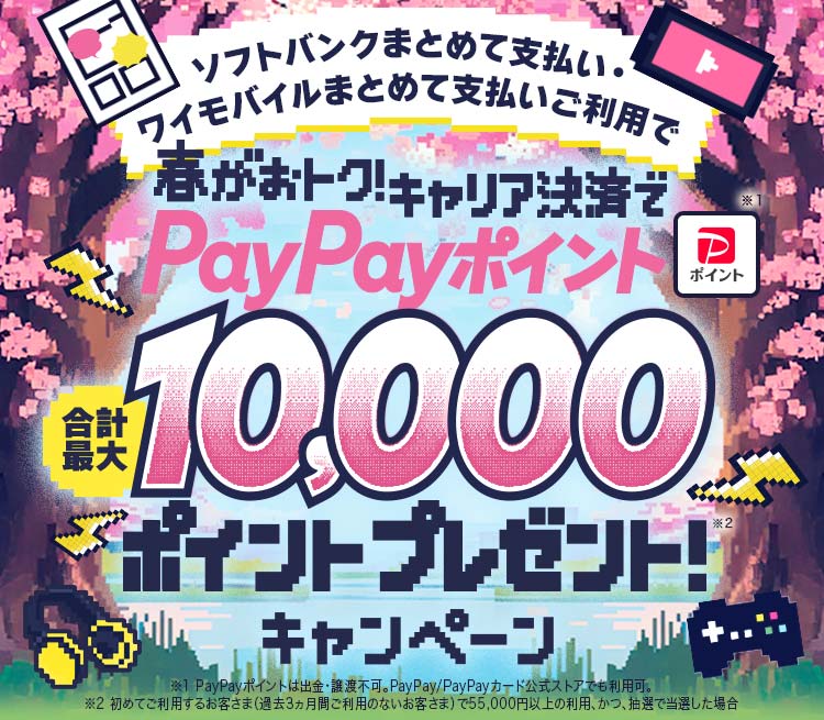 臨時休業の為3月21日までの方値下げ10000円 PayPayで支払いができます
