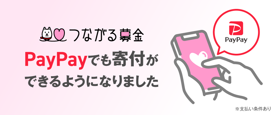 つながる募金 PayPayでも寄付ができるようになりました 支払い条件あり