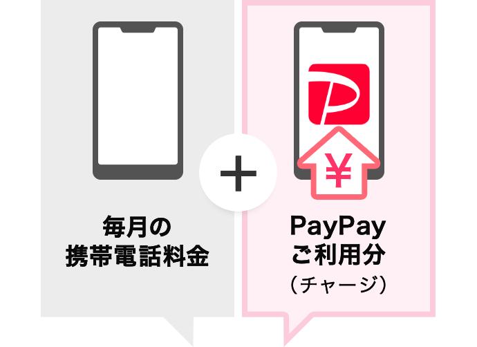 毎月の携帯電話料金 + PayPayご利用分（チャージ）