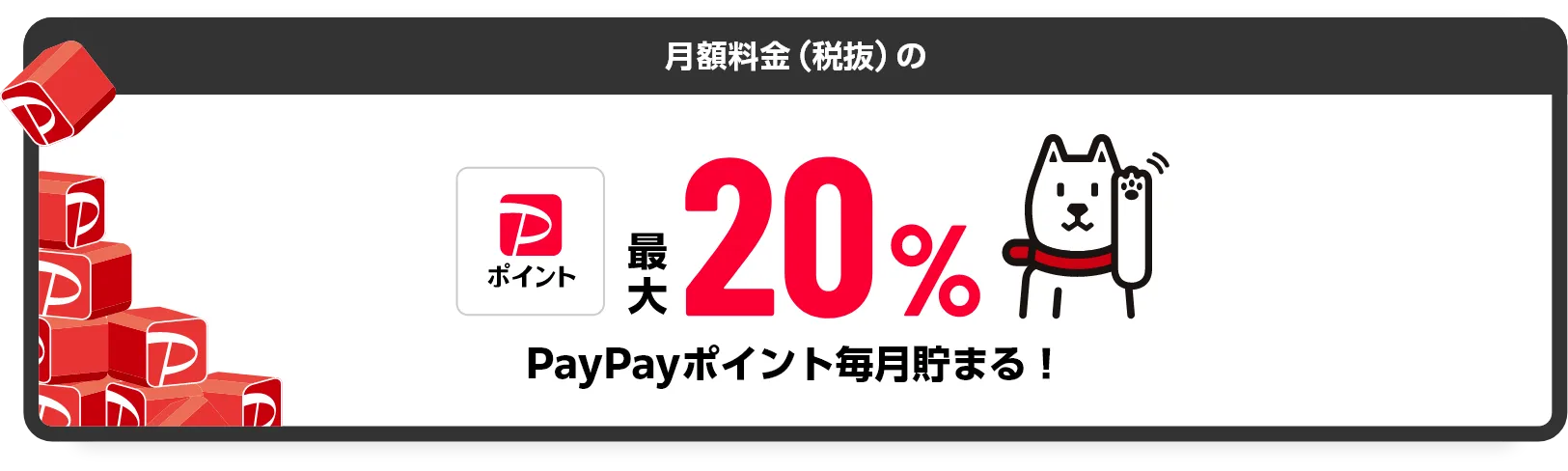 月額料金（税抜）のPayPayポイント最大20% PayPayポイント貯まる！
