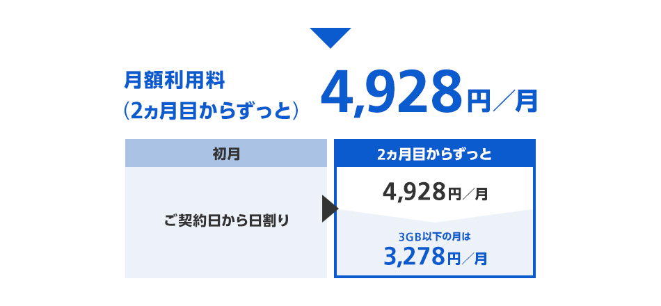 月額利用料（2ヵ月目からずっと）4,928円／月 [初月はご契約日から日割り、2ヵ月目からずっと4,928円／月、3GB以下の月は3,278円／月]