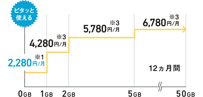 1年目の料金