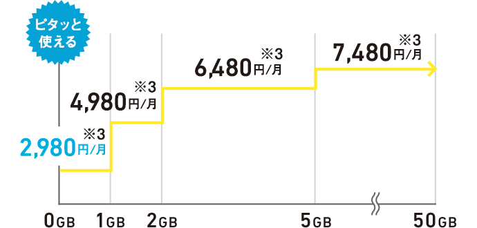 2年目以降の料金