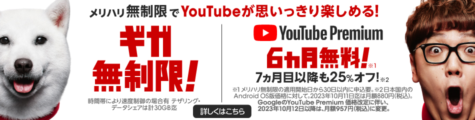メリハリ無制限でYouTubeが思いっきり楽しめる！ ギガ無制限！ 時間帯により速度制限の場合有 テザリング・データシェアは計30GB迄 YouTube Premium6カ月無料！ 7ヵ月目以降も25%オフ！ 日本国内のAndroid OS版価格に対して。2022年4月5日時点では月額料金880円（税込）。