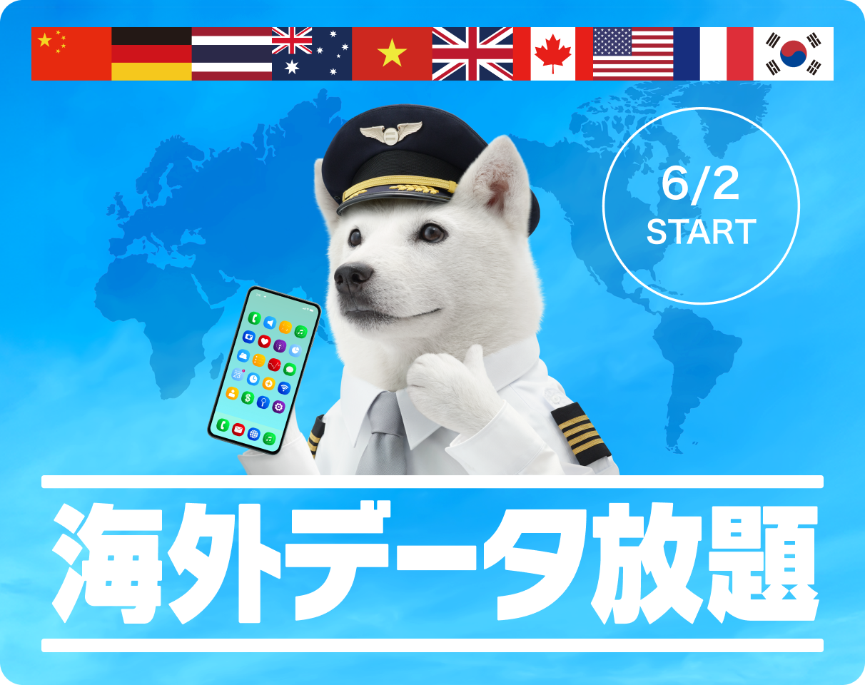 SoftBank Starlink Direct