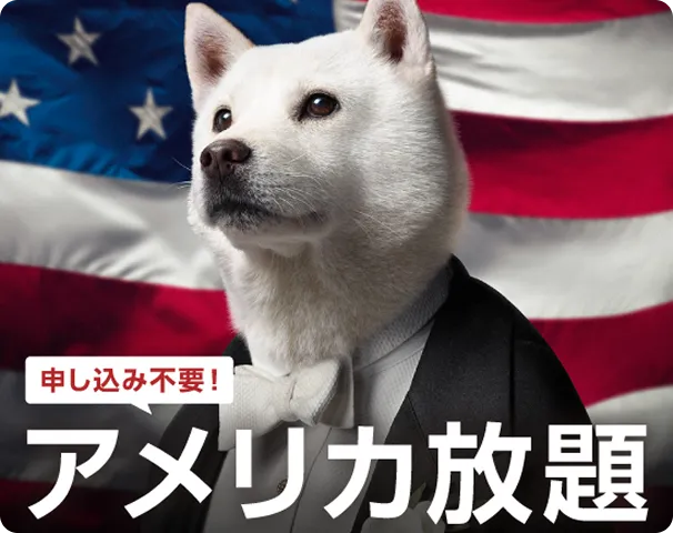 申し込み不要!アメリカ放題