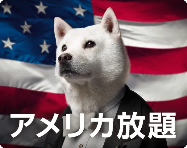 アメリカ放題