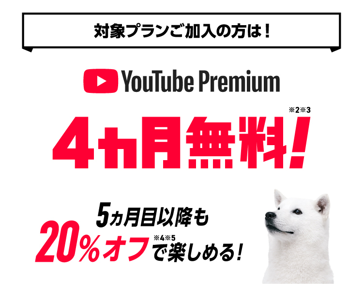 対象プランご加入の方は! YouTube Premium 4ヶ月無料!※2※3 5ヶ月目以降も20%オフ※4※5で楽しめる!
