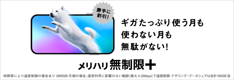 勝手に割引！ギガたっぷり使う月も使わない月も無駄がない！メリハリ無制限＋