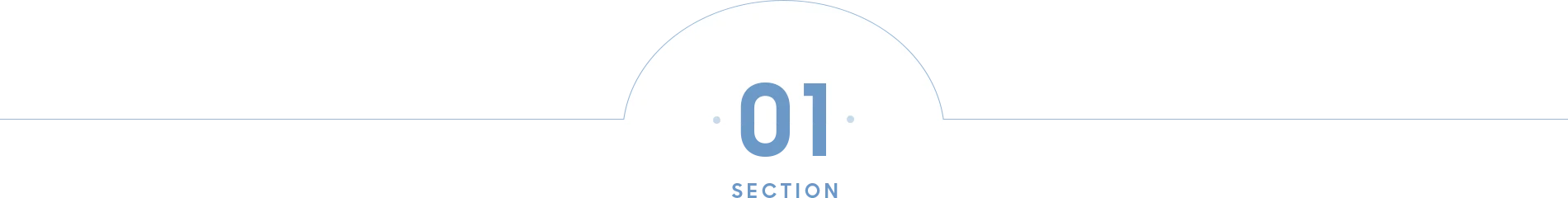 SECTION 01