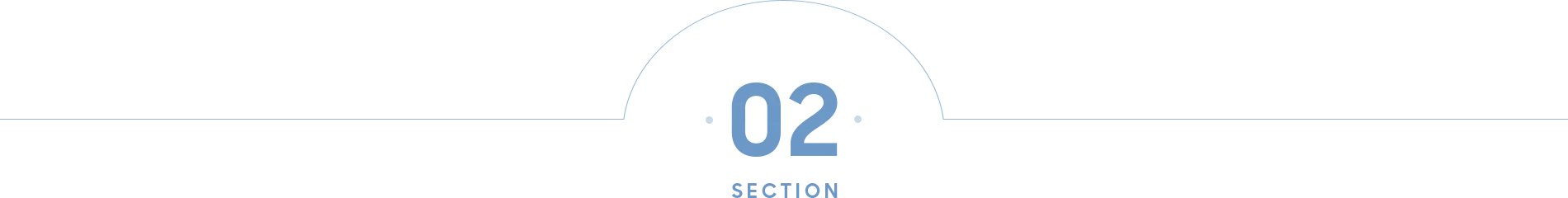 SECTION 02