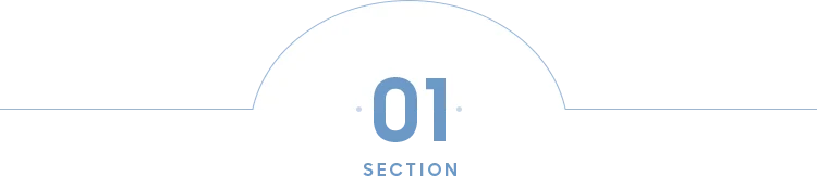 SECTION 01