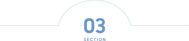 SECTION 03