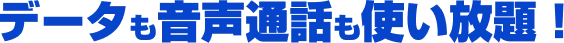 データも音声通話も使い放題！