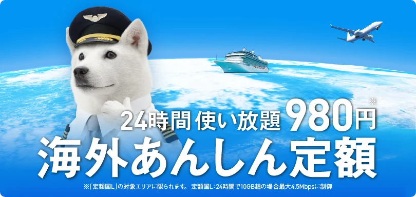 24時間 使い放題980円 海外あんしん定額