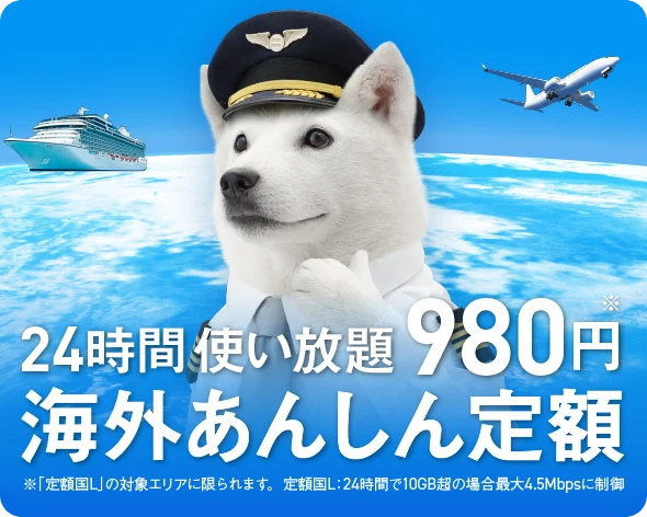 24時間 使い放題980円 海外あんしん定額