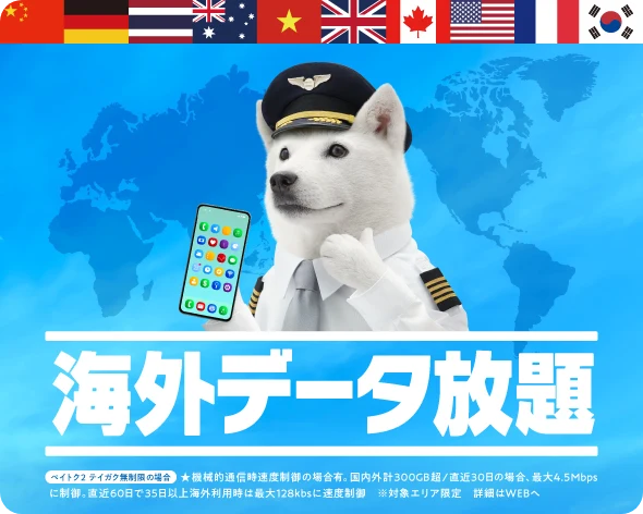 海外データ放題