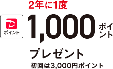 2年に1度PayPayポイント 1,000ポイントプレゼント 初回は3,000円ポイント