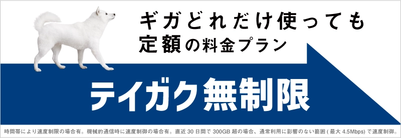 メリハリ無制限＋ ムダなし！シンプルな大容量プラン データ容量 無制限※1