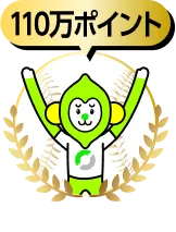 110万ポイント
